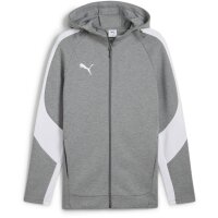 Puma teamEvostripe Hooded Jacket