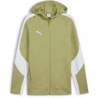 Puma teamEvostripe Hooded Jacket