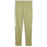 Puma teamEvostripe Jogginghose