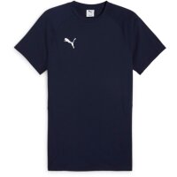 Puma teamEvostripe Tee