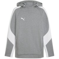 Puma teamEvostripe Hoody