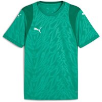 Puma teamCup 25 Trikot Jersey