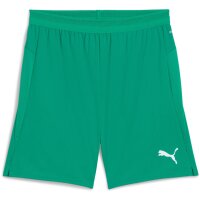 Puma teamCup 25 Short