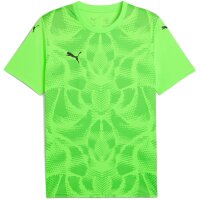 Puma teamUltimate 25 Trikot Jersey
