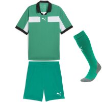 Puma teamClassic Trikotsatz