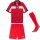 Puma teamClassic Trikotsatz