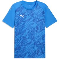Puma teamFinal 26 Graphic Trikot Jersey