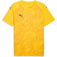 Puma teamFinal 26 Graphic Trikot Jersey