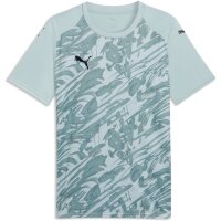 Puma teamFinal 26 Graphic Trikot Jersey