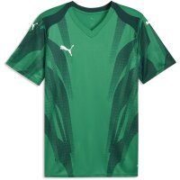 Puma teamFinal 26 Graphic+ Trikot Jersey