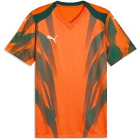 Puma teamFinal 26 Graphic+ Trikot Jersey