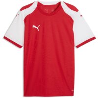 Puma teamFinal 26 Knit Jersey