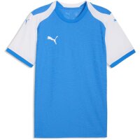 Puma teamFinal 26 Knit Jersey