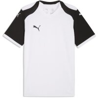 Puma teamFinal 26 Knit Jersey