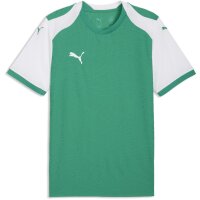 Puma teamFinal 26 Knit Jersey