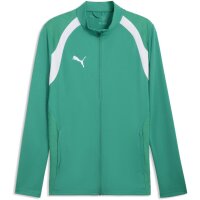 Puma teamFinal 26 Trainingsjacke