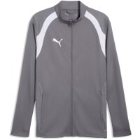 Puma teamFinal 26 Trainingsjacke
