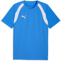 Puma teamFinal 26 Training Jersey