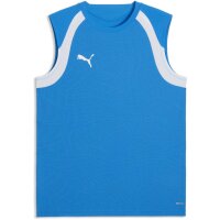Puma teamFinal 26 Training Jersey SL