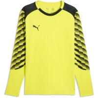 Puma teamLiga 26 GK Torwart Trikot Jersey Langarm