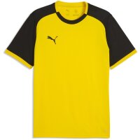 Puma teamLiga 26 Matchday Trikot Jersey