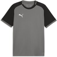 Puma teamLiga 26 Matchday Trikot Jersey