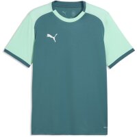 Puma teamLiga 26 Matchday Trikot Jersey