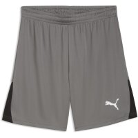 Puma teamLiga 26 Short
