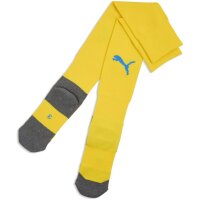 Puma teamLiga 26 Socks Core