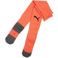 Puma teamLiga 26 Socks Core