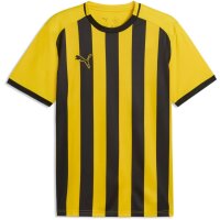 Puma teamLiga 26 Striped Trikot Jersey