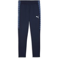 Puma teamLiga 26 Trainingshose Plus