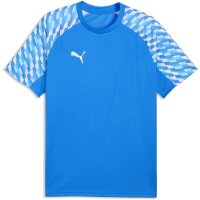 Puma teamLiga 26 Trikot Jersey