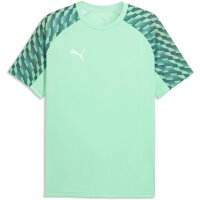 Puma teamLiga 26 Trikot Jersey