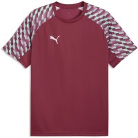 Puma teamLiga 26 Trikot Jersey