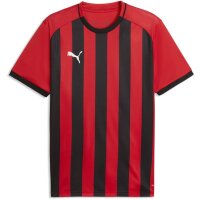 Puma teamLiga 26 Striped Trikot Jersey