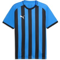 Puma teamLiga 26 Striped Trikot Jersey