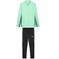 Puma teamLiga 26 Trainingsanzug