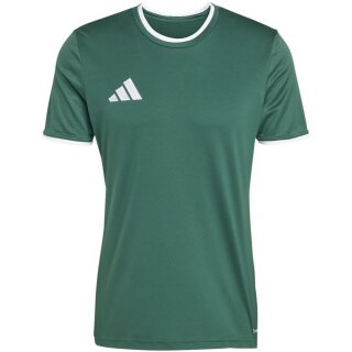 team dark green/white