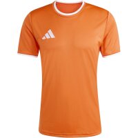 adidas Entrada 26 Trikot Jersey