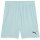 Puma teamGoal 24 Shorts