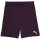 Puma teamGoal 24 Shorts