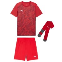 Puma teamFinal 26 Graphic Kinder Trikotsatz