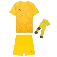 Puma teamFinal 26 Graphic Kinder Trikotsatz