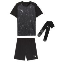 Puma teamFinal 26 Graphic Trikotsatz