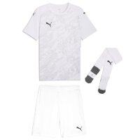 Puma teamFinal 26 Graphic Trikotsatz