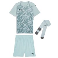 Puma teamFinal 26 Graphic Trikotsatz