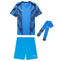 Puma teamFinal 26 Graphic+ Trikotsatz