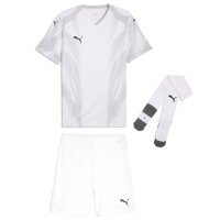 Puma teamFinal 26 Graphic+ Trikotsatz