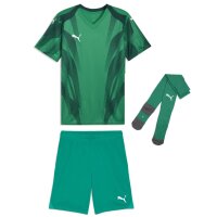 Puma teamFinal 26 Graphic+ Trikotsatz
